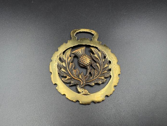 Vintage Brass Horse Harness Medallion – Scottish Thistle with Serrated Rim Design