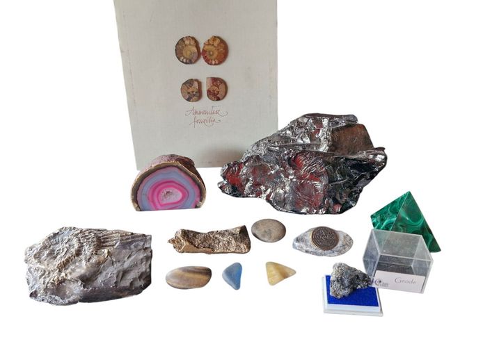 Collection of Rocks, Minerals & Fossils
