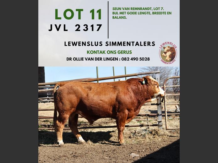 JVL2317 | DR JSH VAN DER LINGEN