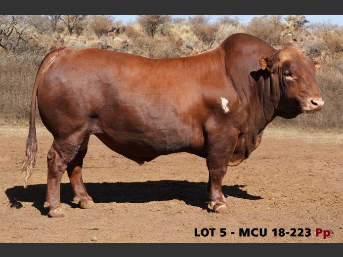 MCU18-0223