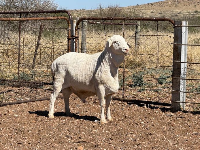 4 - 405 | De Hoop Boedery