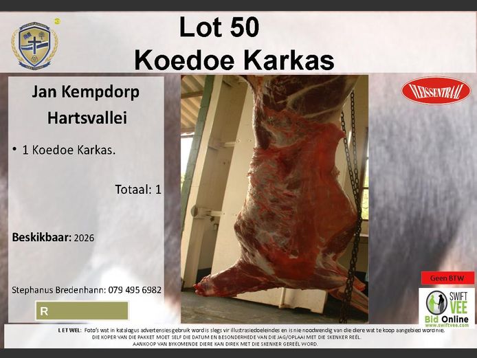 Koedoe Karkas