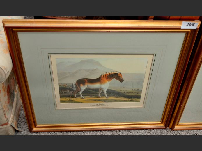 GILT FRAMED PRINT "THE QUAHKAH" SIGNED SAMUEL DANIEL 1804, 45 x 32cm