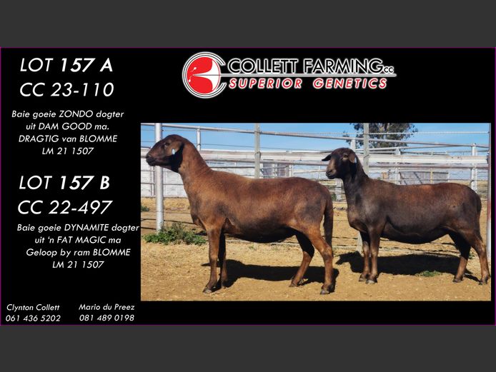 CC 220497 | COLLETT FARMING CC
