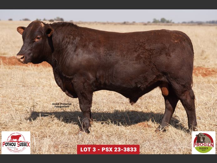 PSX 233833 | POTHOU BK