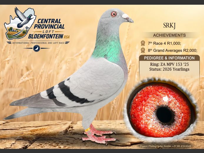 MPV 153 2025 | SRKJ