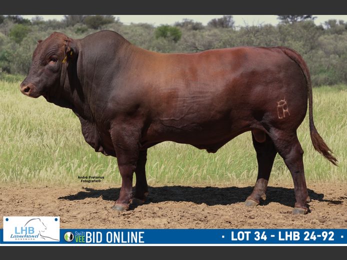 LHB 240092 | LEEUHEUWEL BOERDERY (EDMS) BPK