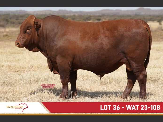 WAT230108 | KRUGER BOERDERY