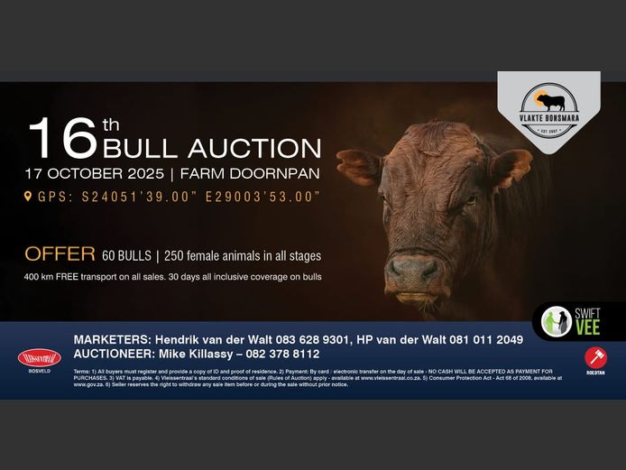 VLAKTE BONSMARA 16TH BULL AUCTION