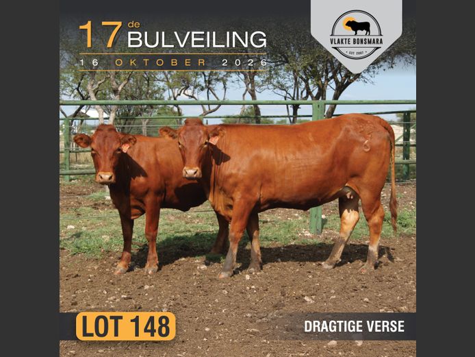Commercial Animals | Bosland Boerdery