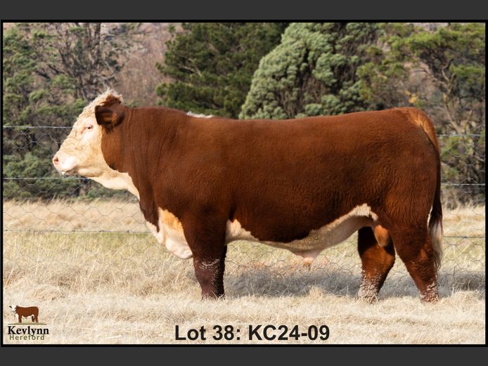 KC240009 PcH
