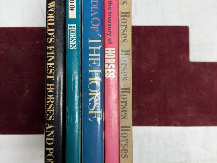 Set of Horse Books (1) 