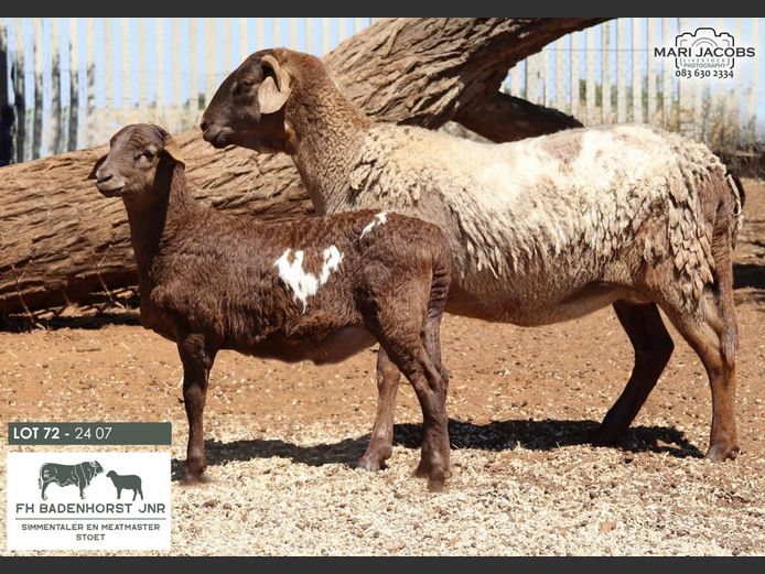 24-07 | FH Badenhorst JNR