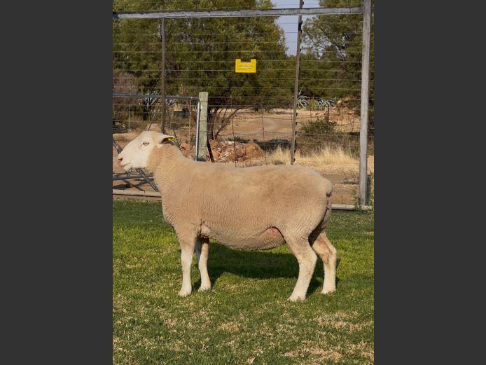 DH 210018 | HEYMAN DORMERS