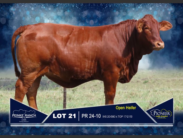 PR 240010 | PEINKE RANCH