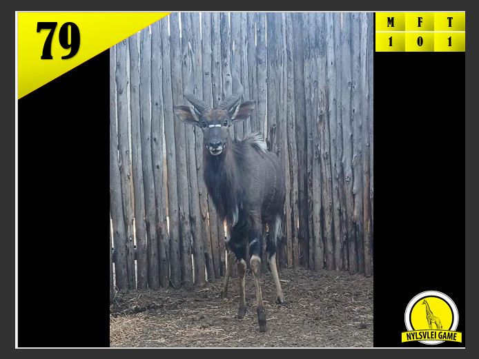 NJALA | KOLOBE WILDLIFE
