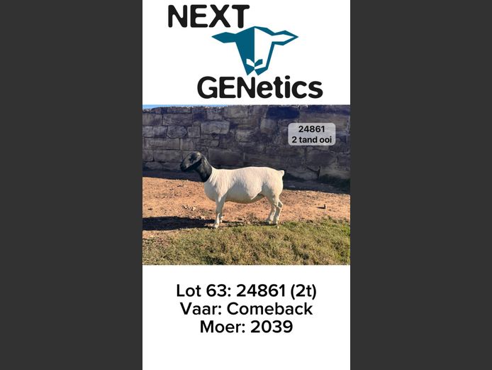 24861 | NEXT GENETICS
