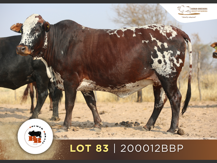 20-0012BBP | 20-0011BBP | BOUWER BORANE
