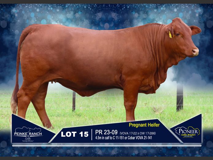 PR 230009 | PEINKE RANCH