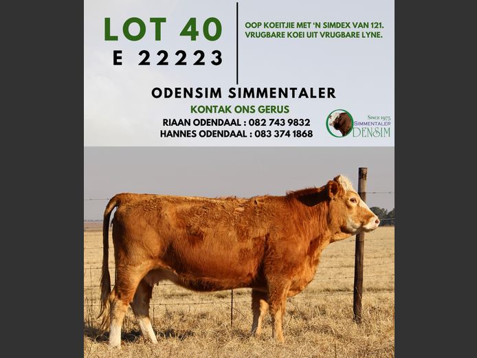 E22223 | AG ODENDAAL