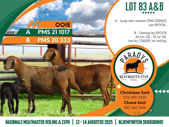 PMS 20 333 | Chane Smit - Paradys Meatmasters