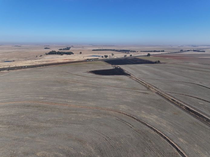678.8464 Hectares - To Rent