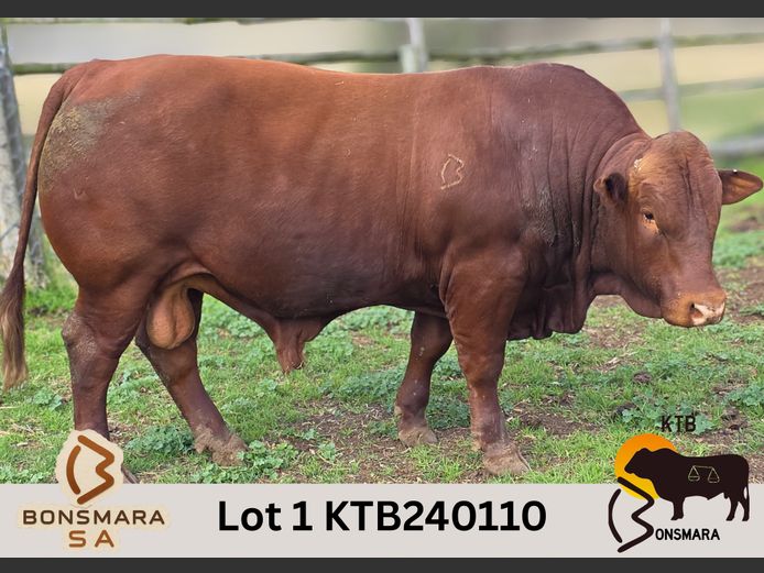 KTB240110 | BOTTERFONTEIN ESTATES CC