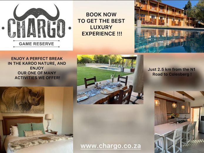 Biltong hunt for 1 buffalo cow plus 2 nights accommodation. 2026 Hunting season | Chargo