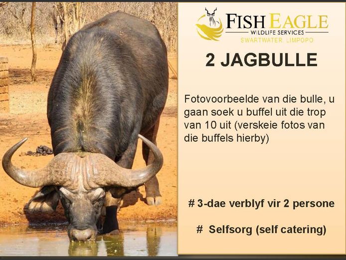 BUFFEL