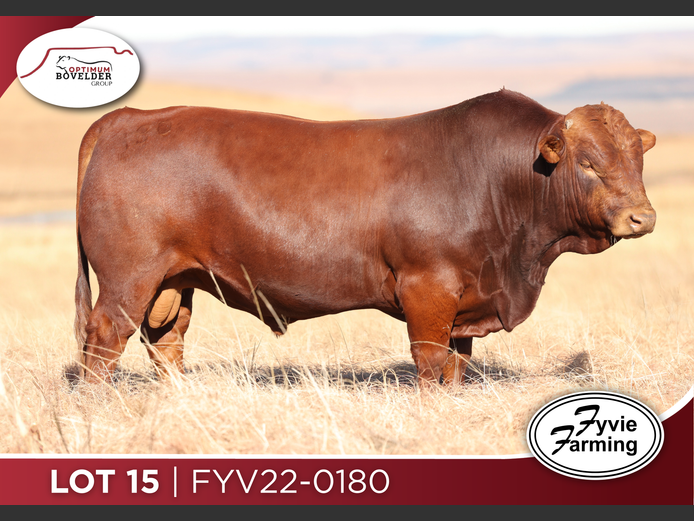 FYV22-0180
