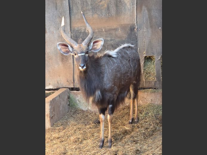 NJALA | 258 FARMS