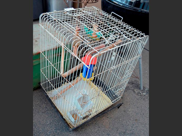 METAL BIRD CAGE, 45 x 46 x 67cm
