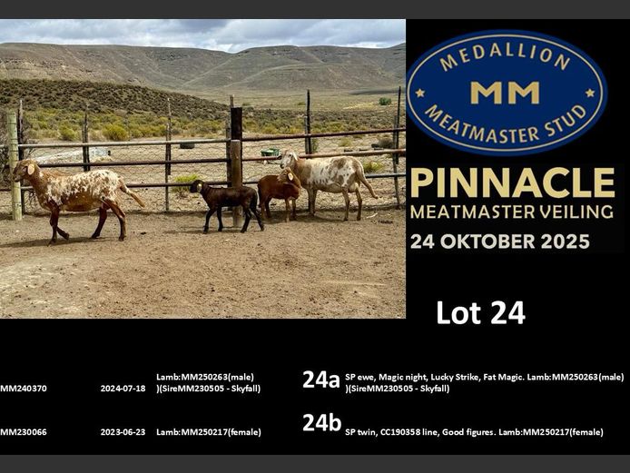 MM  230066 | MEDALLION MEATMASTER STOET