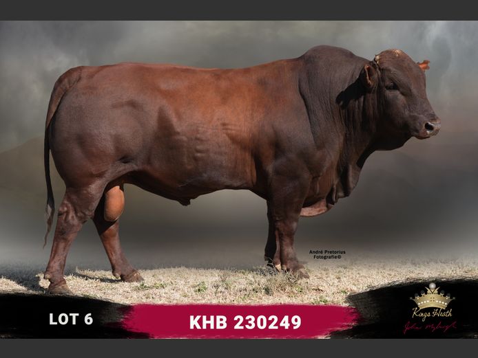 KHB 230249