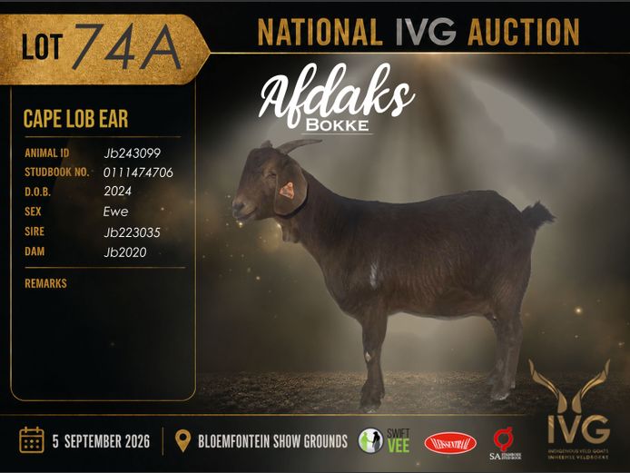 JB24 3099 | AFDAKS BOKKE