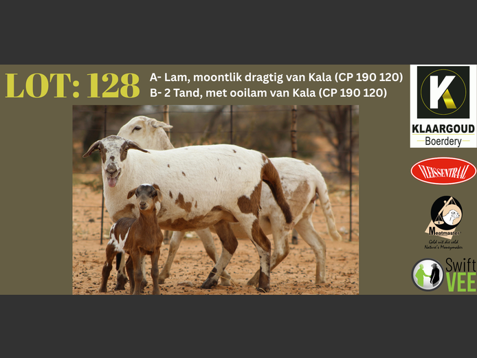 CP 24 233 | Chris & Christia - Klaargoud Boerdery