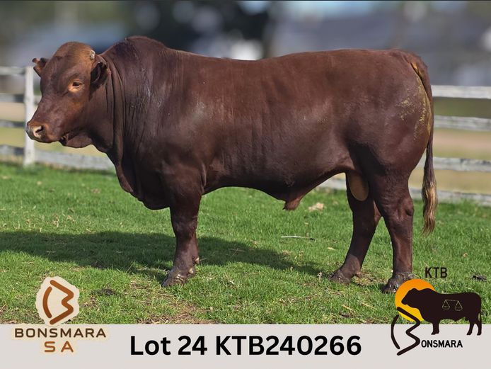 KTB240266 | BOTTERFONTEIN ESTATES CC