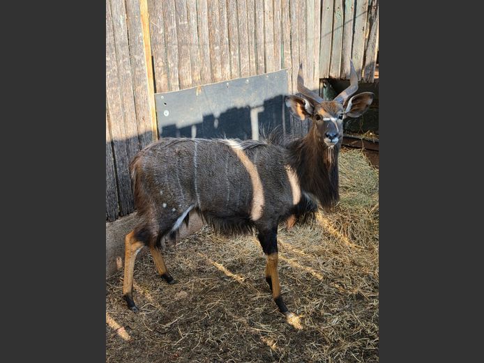 NJALA | TK BOERDERY
