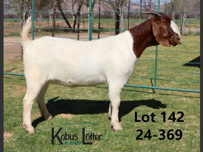 1658240369 | DIRK LOTTER