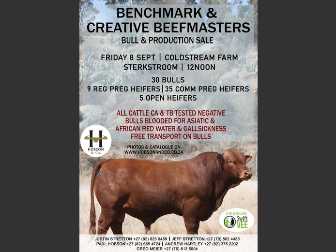 BENCHMARK & CREATIVE BEEFMASTERS AUCTION