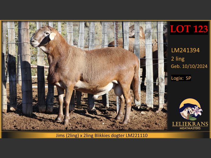 LM241394 | LELIEKRANS MEATMASTERS