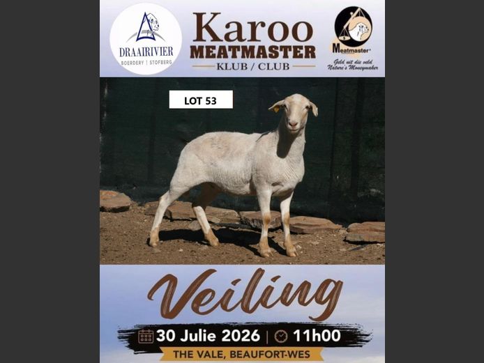 NS25-195 | Nollie Stofberg - Draairivier Meatmasters
