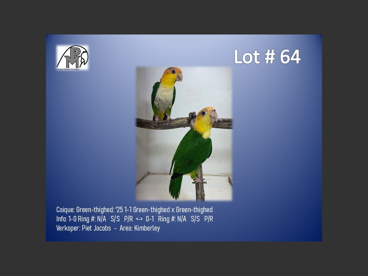images