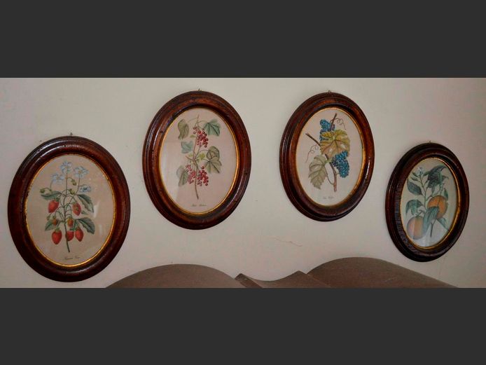 SET OF 4 OVAL FRAMED BOTANICAL PRINTS, 25 x 19cm