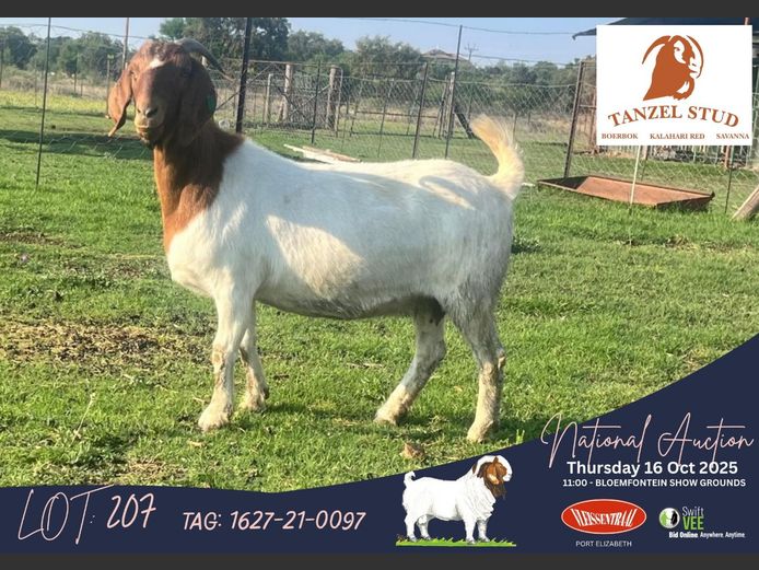 1627210097 | Theunis Nel (Tanzel)