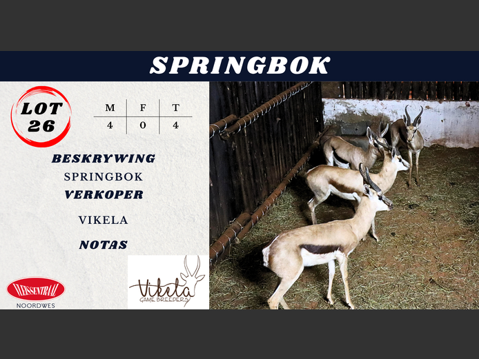 SPRINGBOK