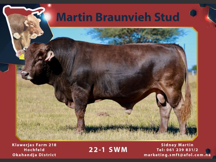 22-0001SWM | MARTIN BRAUNVIEH STUD 