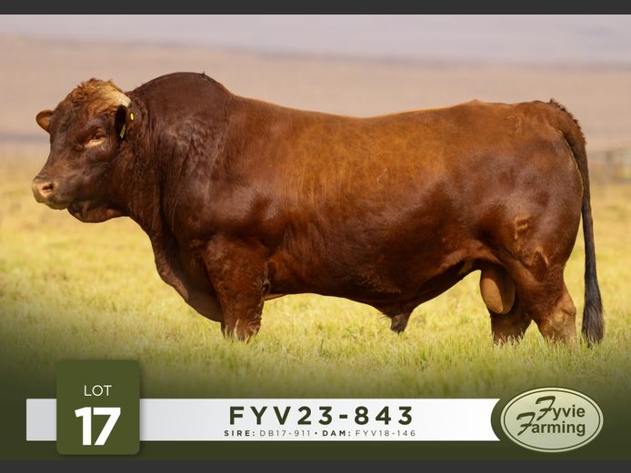 FYV23-843 | Fyvie