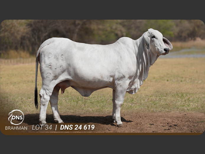 DNS24619 | JES-C BOERDERY (PTY) LTD