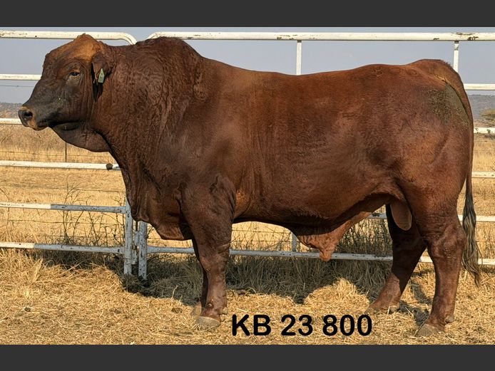 KB23800